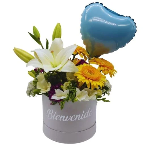 Caja pote con flores de estacion nacimiento bienvenido 